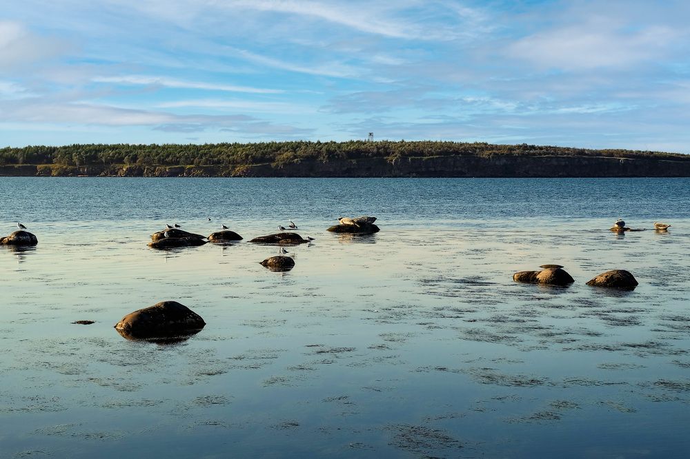 Photograph by Галина Искандарова