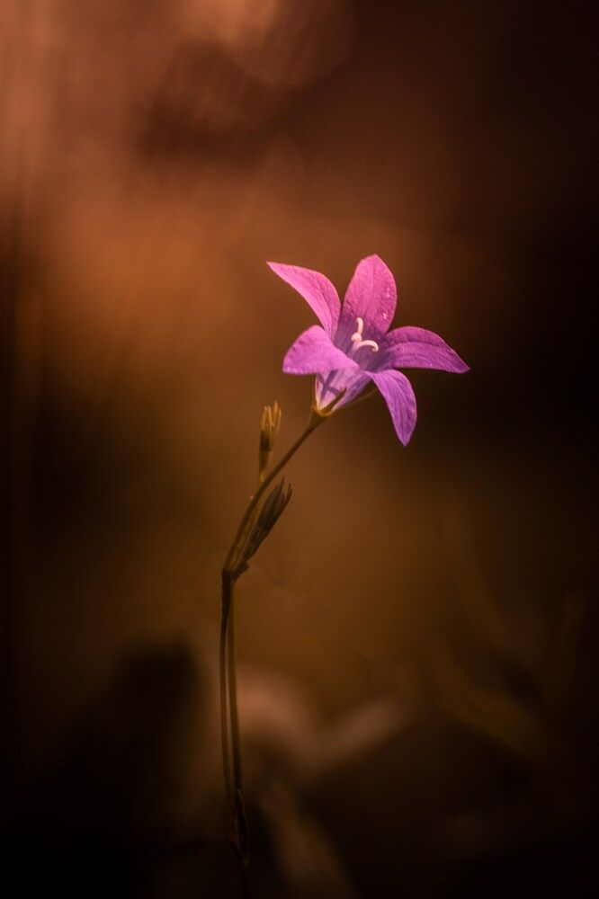 Photograph by Сергей Белокуров