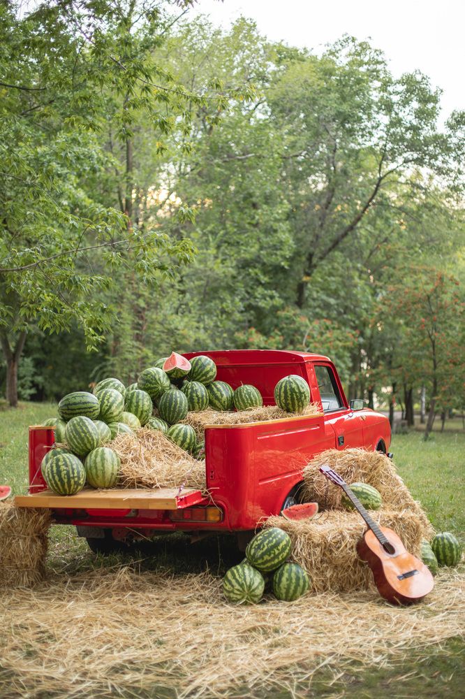 Photograph by Зверева Мария