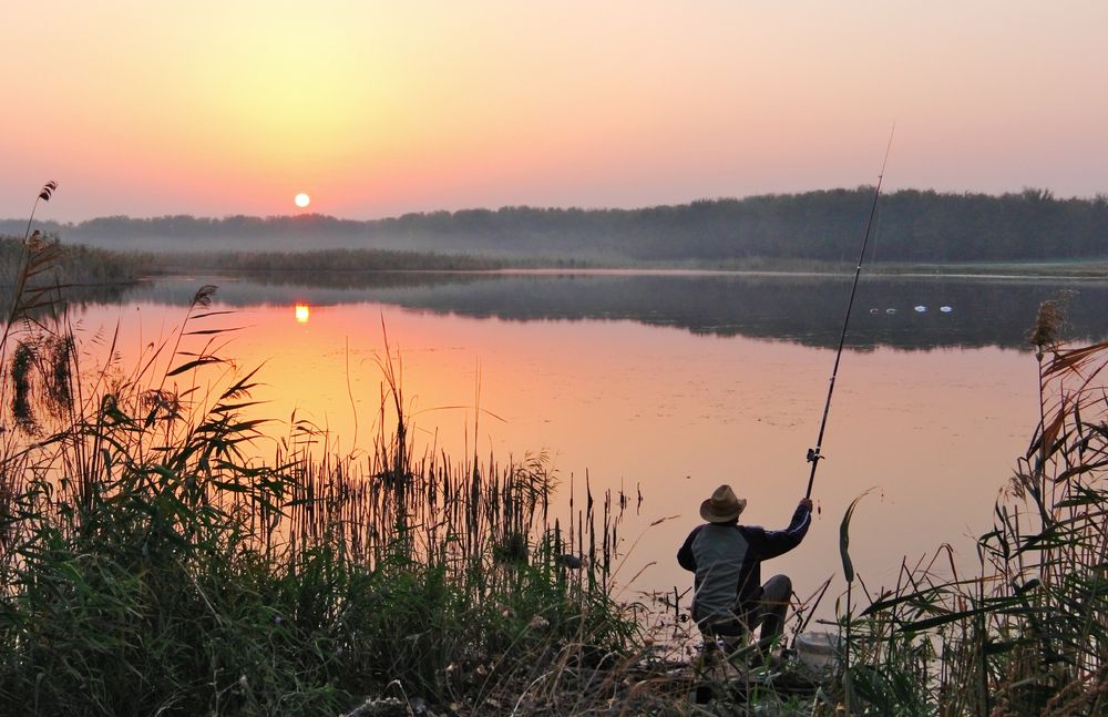 Фотография автора Владимир Волков
