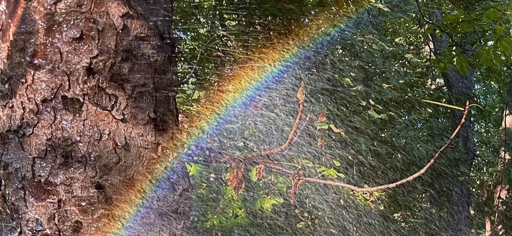 Photograph by Javier Subiza Garrido-Lestache