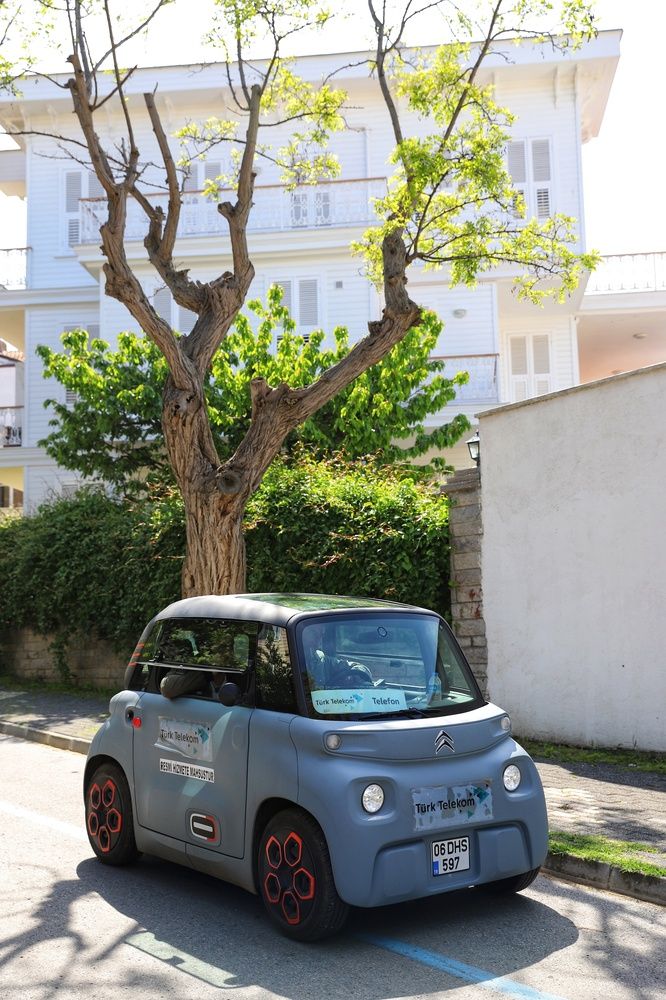 Фотография автора ANNA ILICHEVA