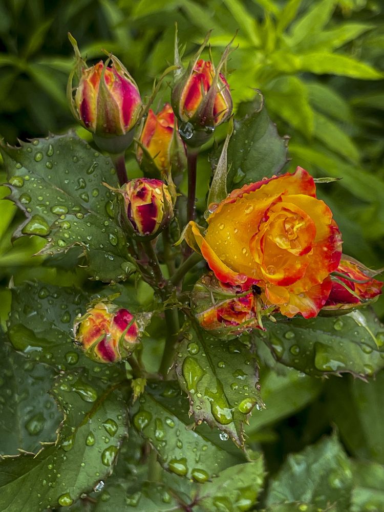 Photograph by Швец Павел