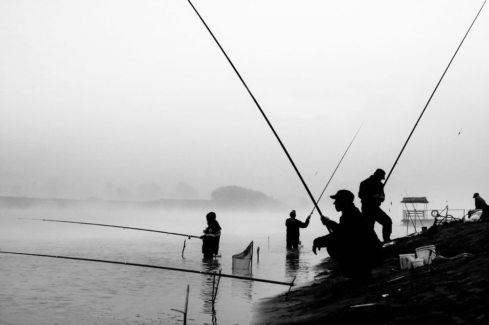 Photograph by Алексеев Дмитрий