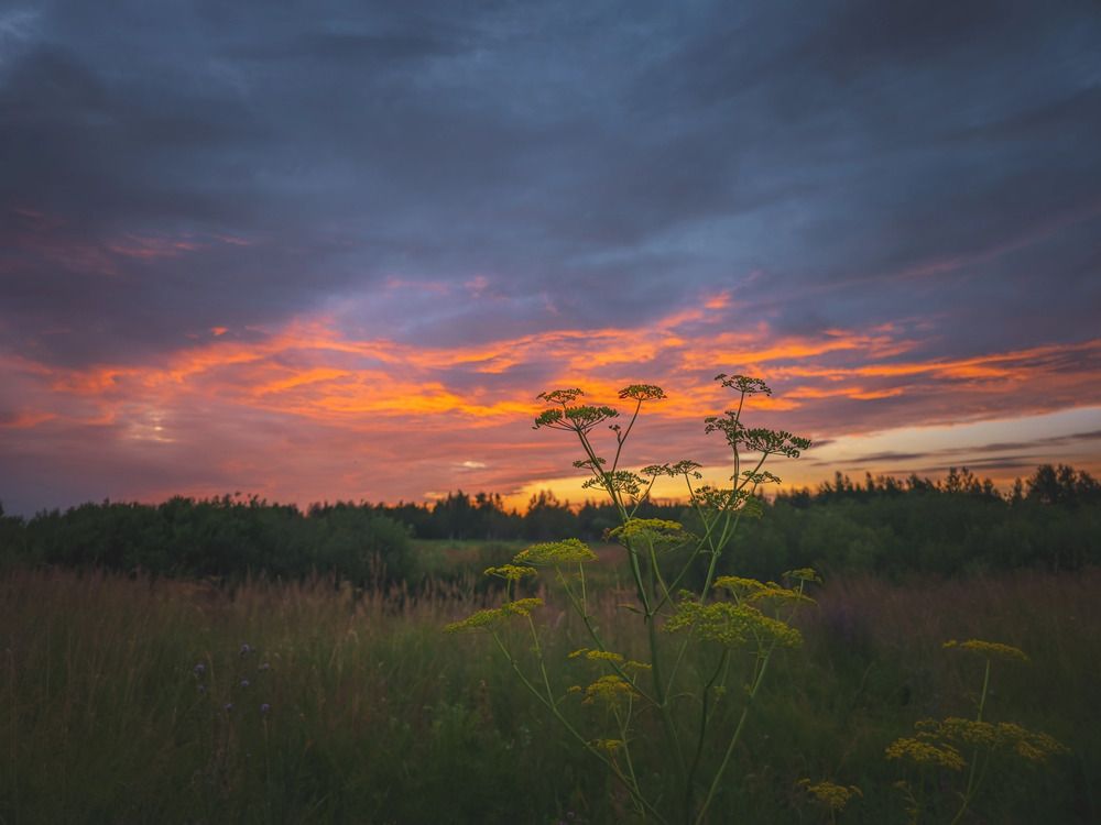Photograph by Кирилл Сидоров