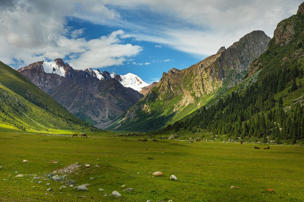 Photograph by Абашкин Сергей