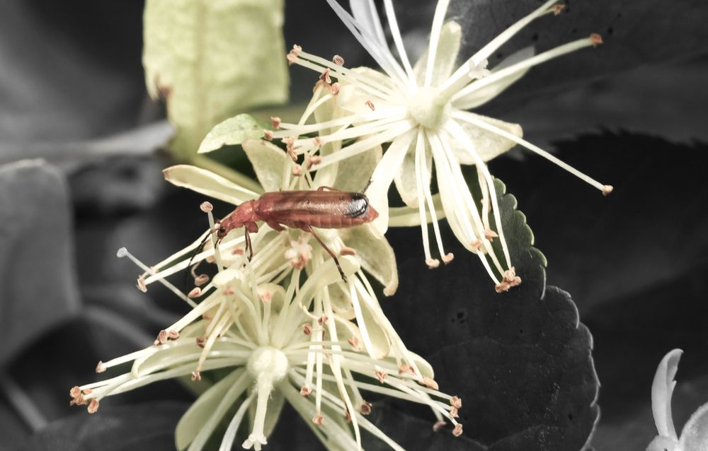 Photograph by Надежда Аверьянова