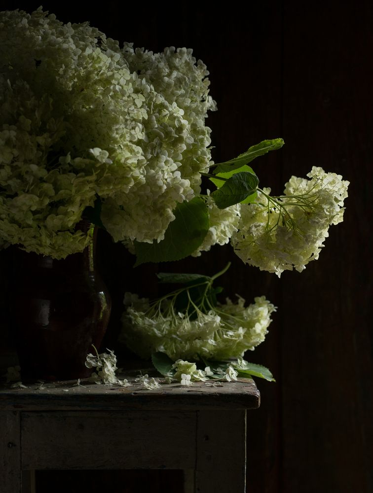 Photograph by Лариса Абрамова