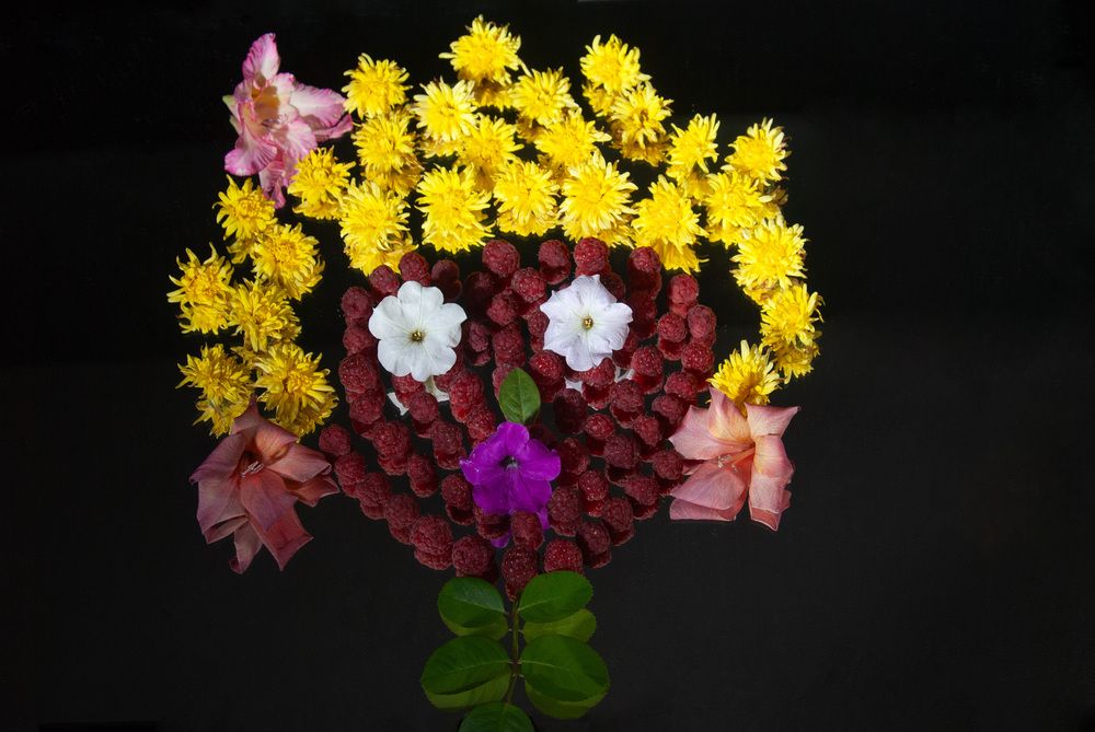 По мотивам Джузеппе Арчимбольдо