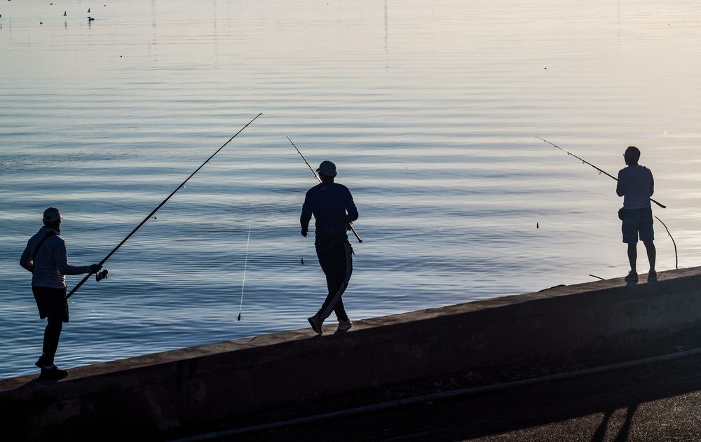 Photograph by Evelyn Carnot Montes