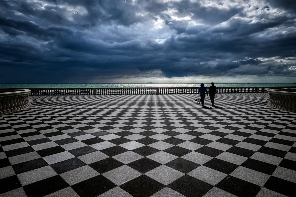 In a Checkered World