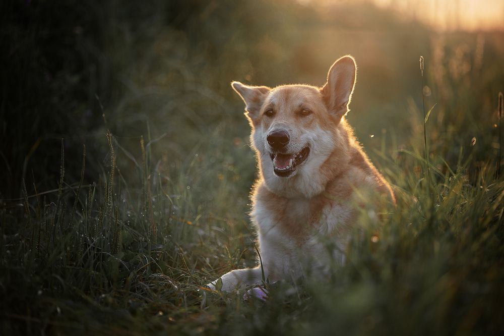 Photograph by Елена Самусенкова