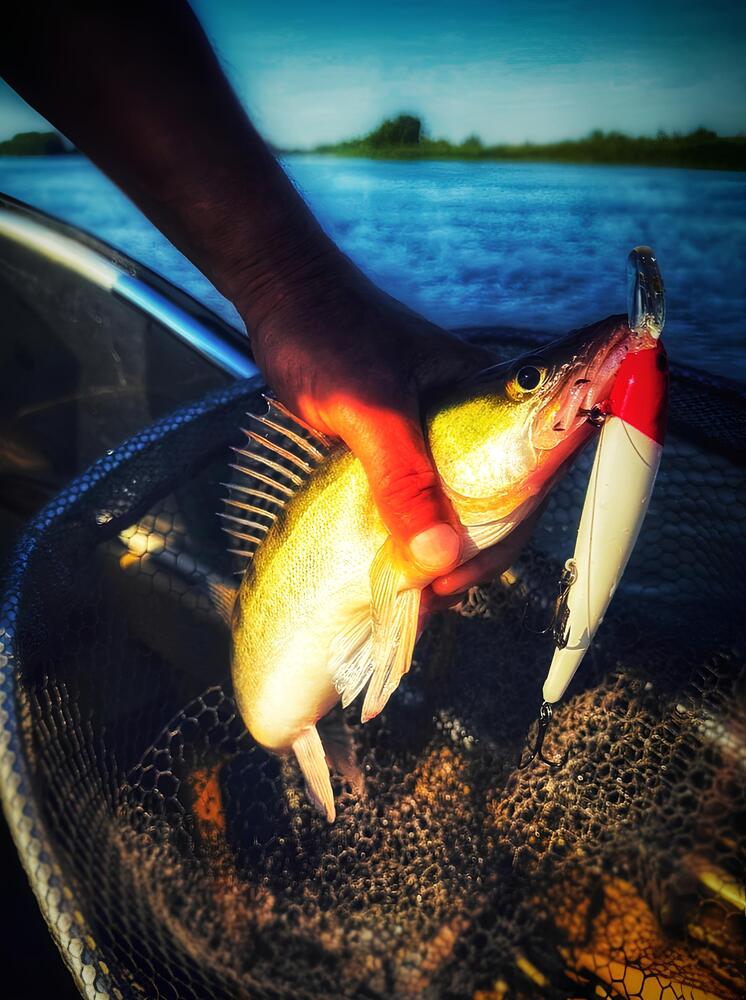 Photograph by Кирилл Леднев