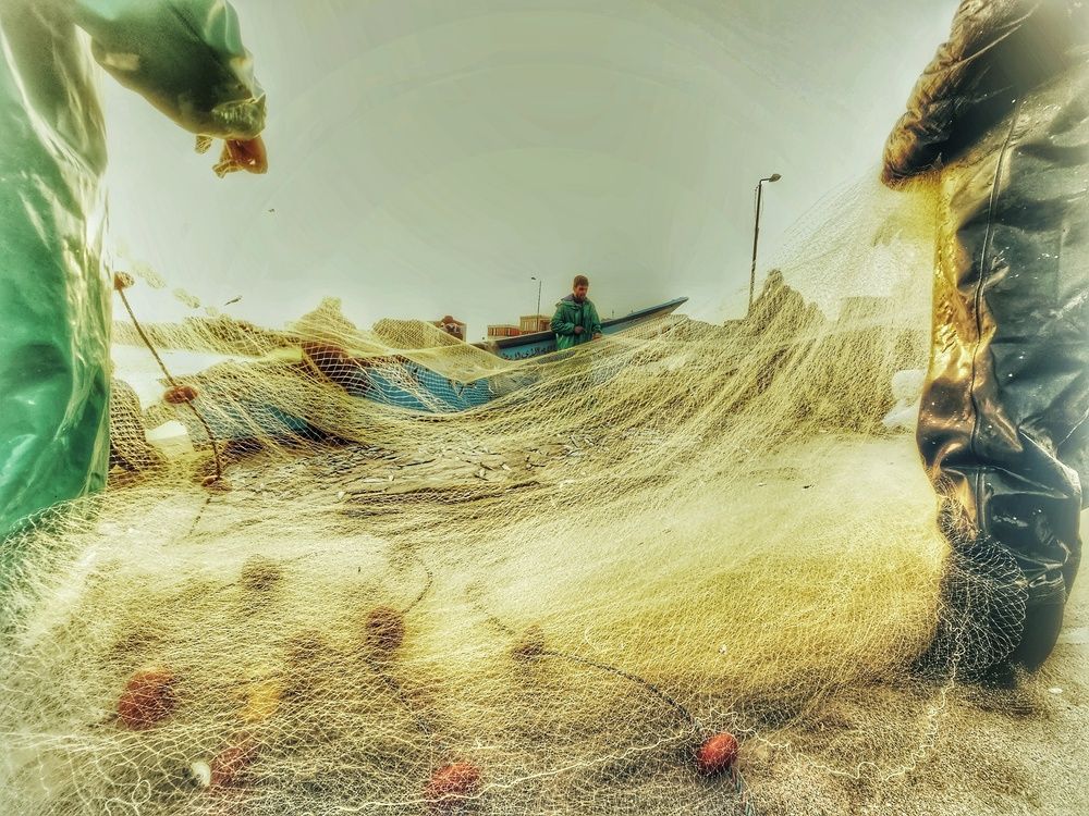 Photograph by Hanan Elmahmoudy