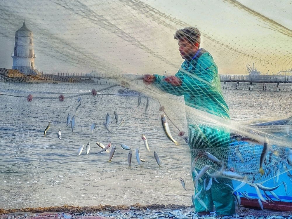 Photograph by Hanan Elmahmoudy