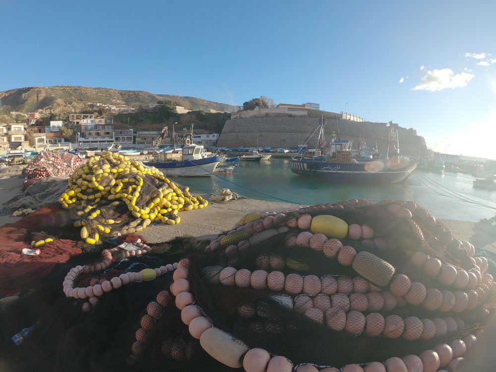 Photograph by mansour Hamdaoui