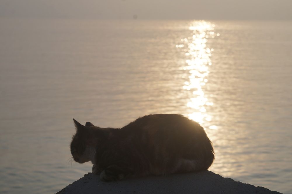 Photograph by mansour Hamdaoui