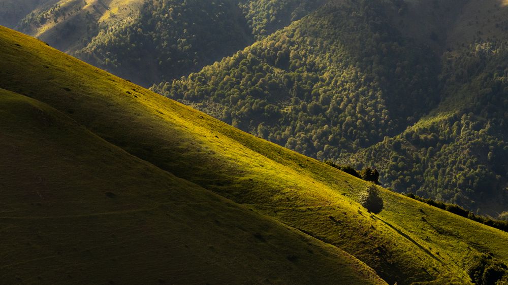 Photograph by Morteza Ghanbari