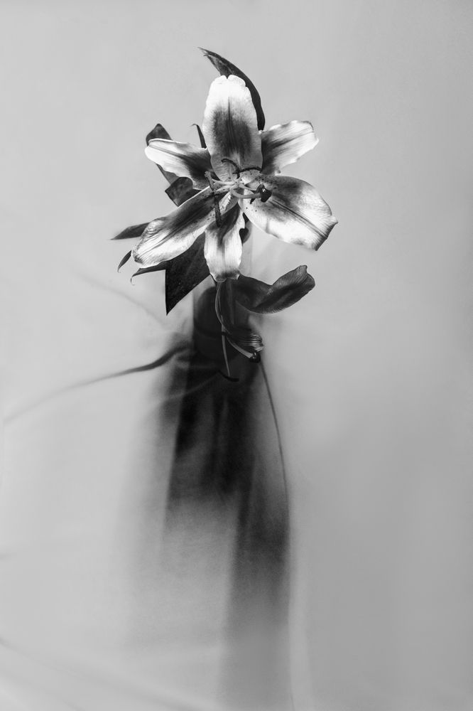 Photograph by Morteza Ghanbari