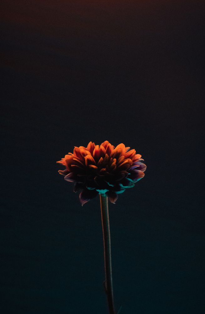 Photograph by Morteza Ghanbari