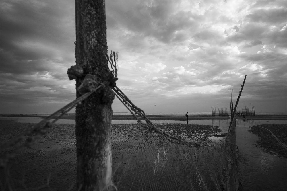 Photograph by Morteza Ghanbari