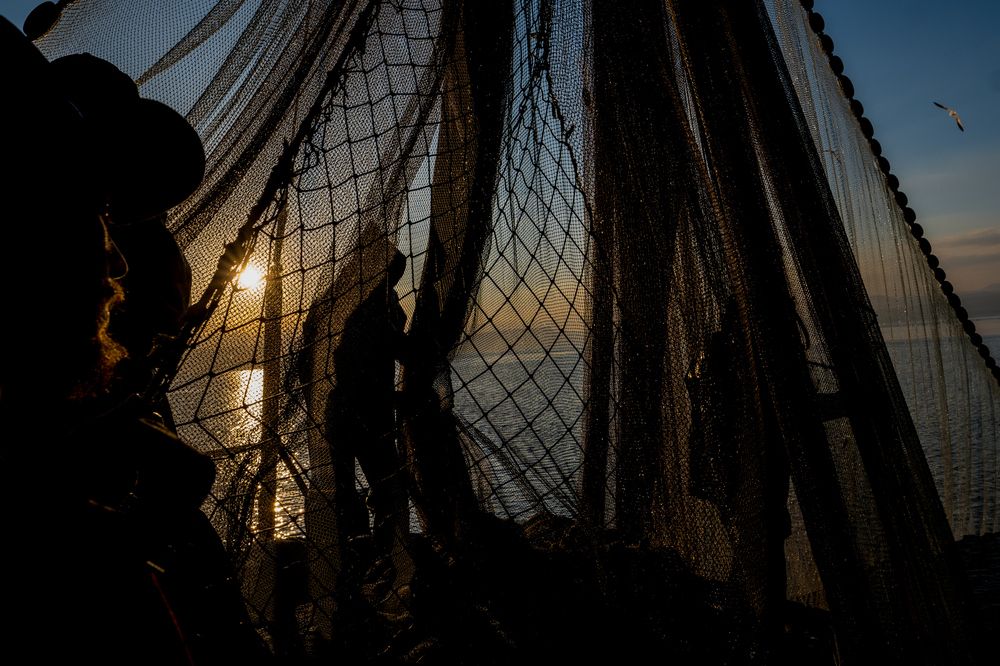 Photograph by Moshe Shalit