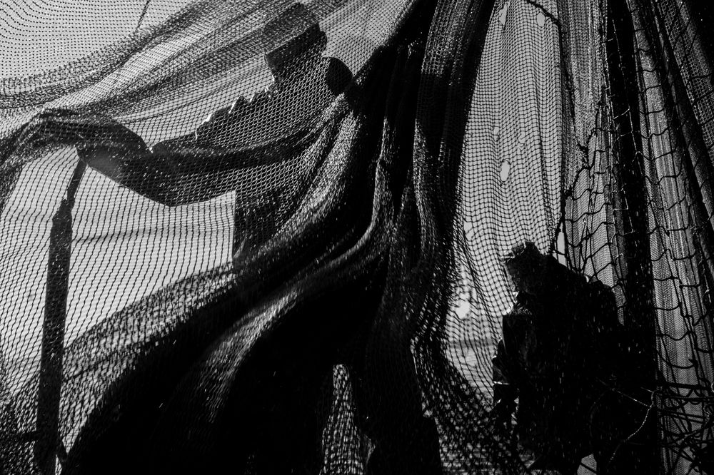 Photograph by Moshe Shalit