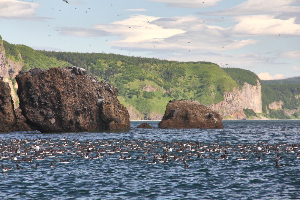 Фотография автора Наталия Мащенко