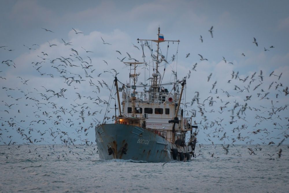 Photograph by Алексей Яковлев