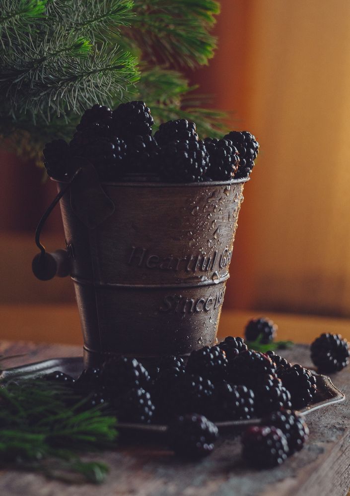 Photograph by Elena Kilina