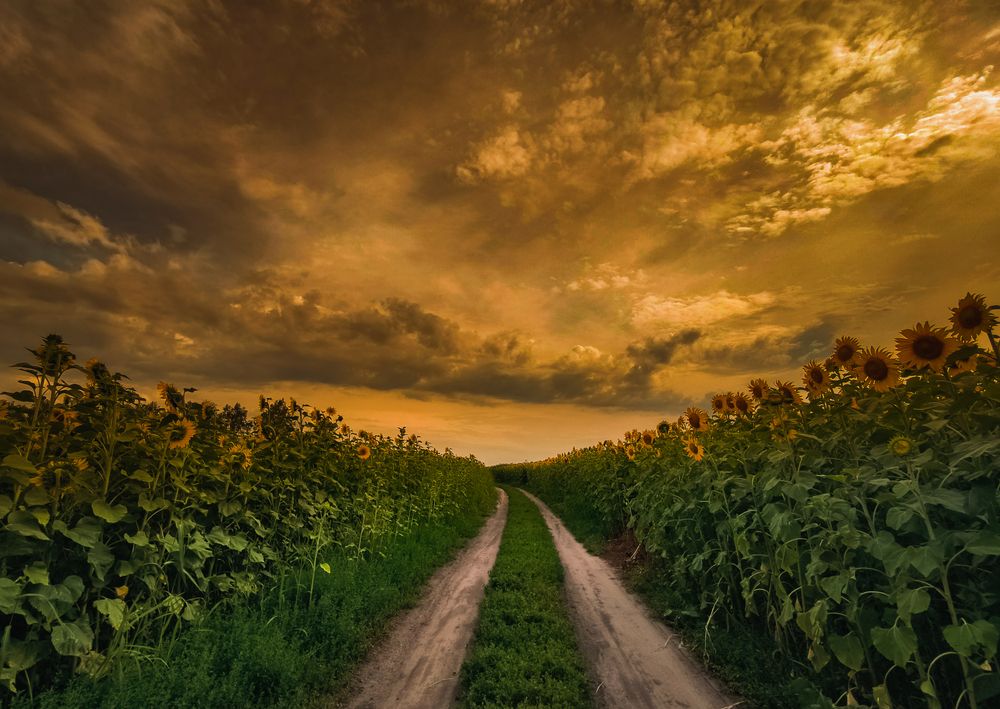 Photograph by Владимир Фролов