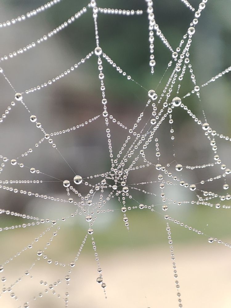 Photograph by Людмила Кузнецова