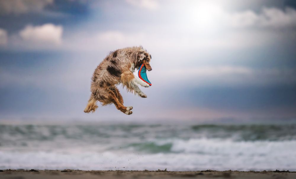 Photograph by Shanna van Mens