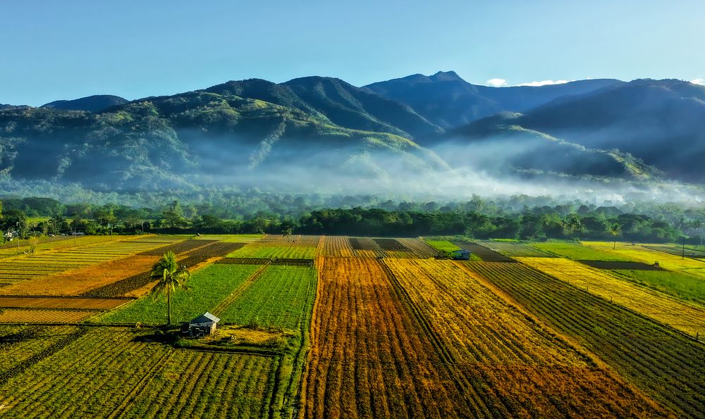 The Colors of Farming