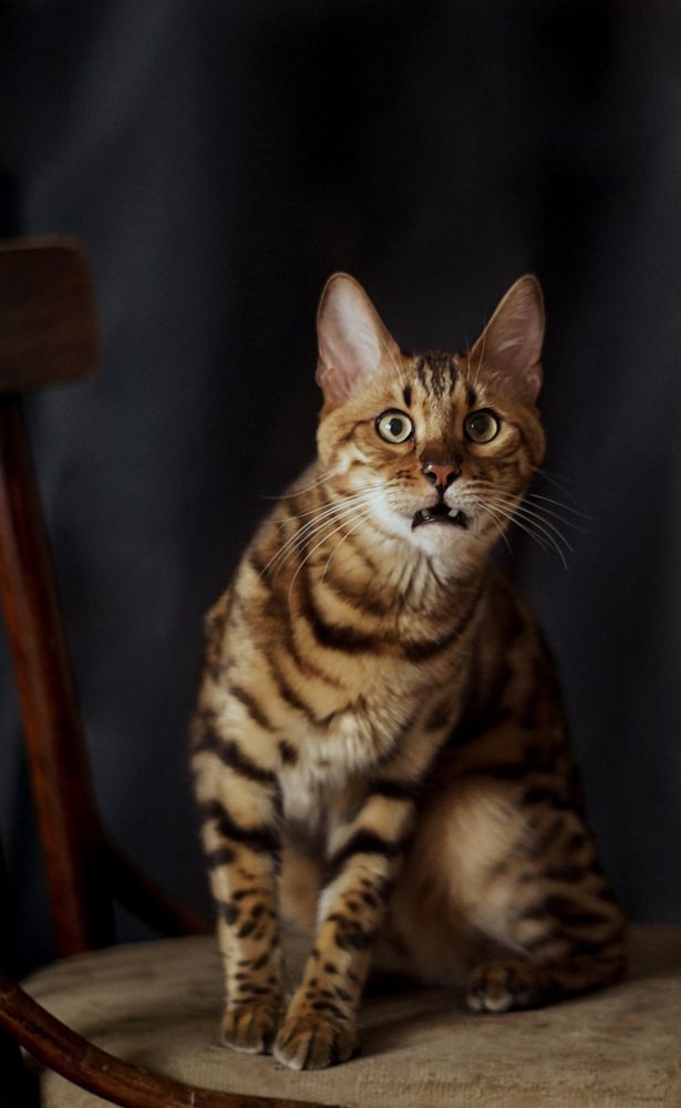 Photograph by Екатерина Слесарева