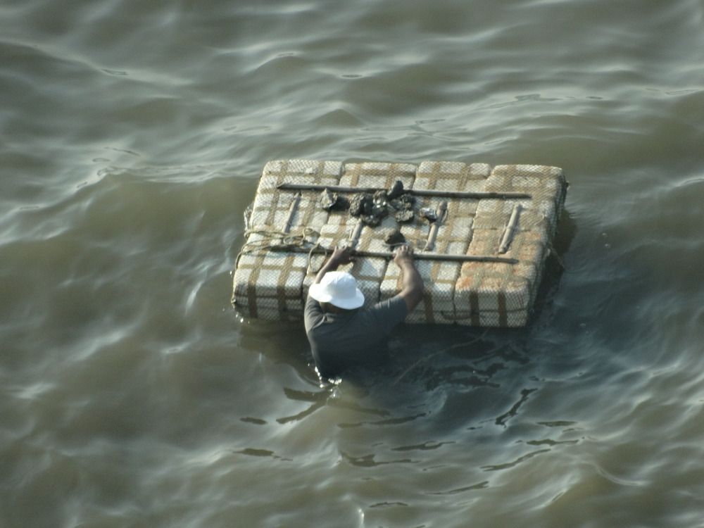 Photograph by Виктор Бута