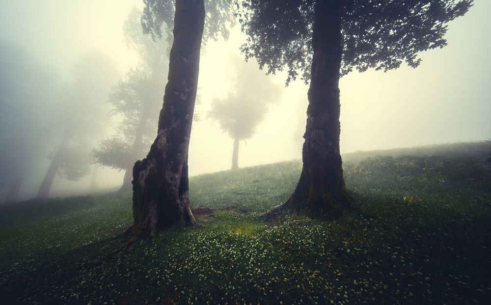 Photograph by Morteza Ghanbari