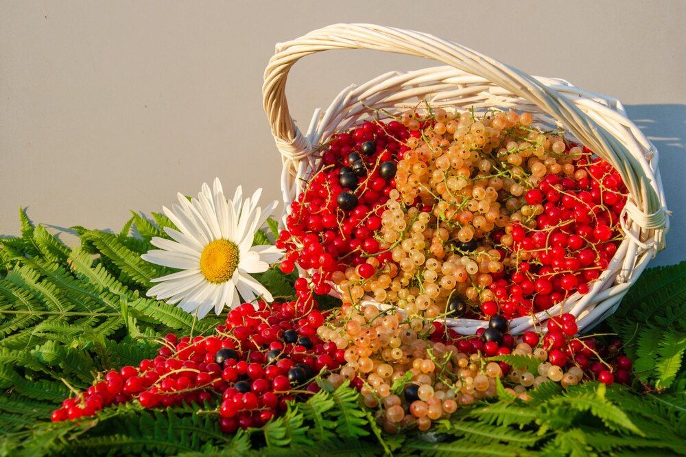 Photograph by Галина Ложечникова