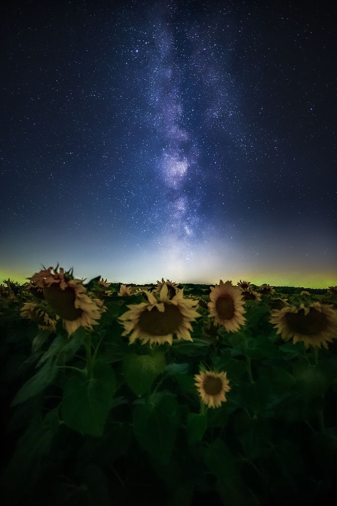 Photograph by Филипп Бабенко
