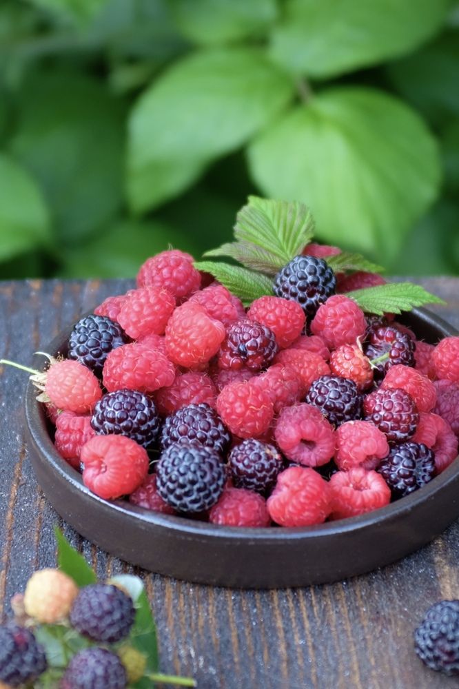 Photograph by Луиза Кабирова