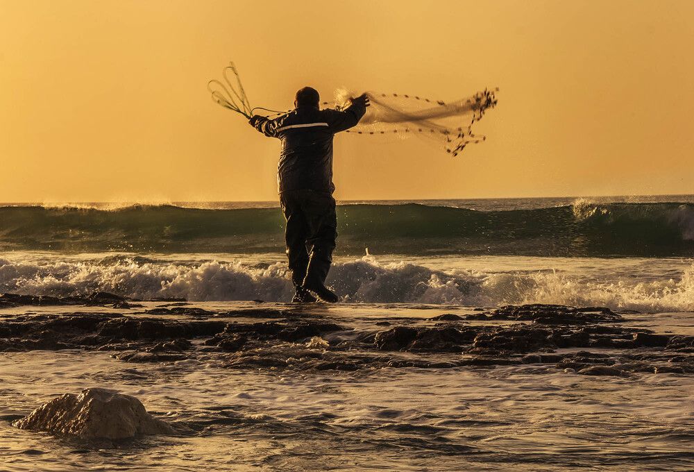 Photograph by Солодар Виктория