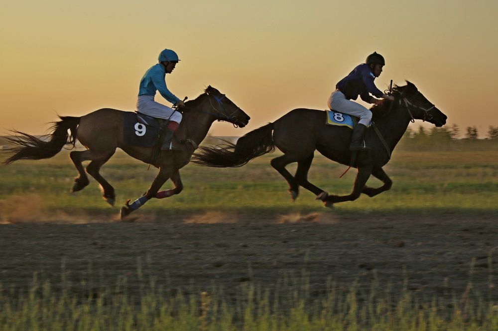 Photograph by Александр Велигура