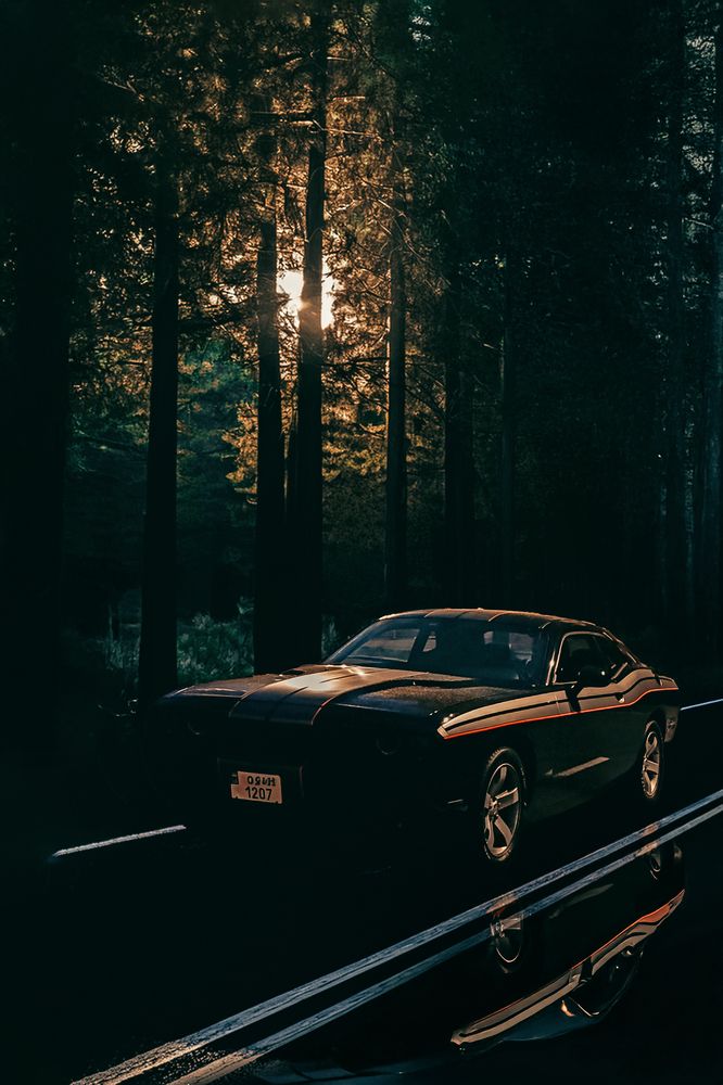 Photograph by Нелли