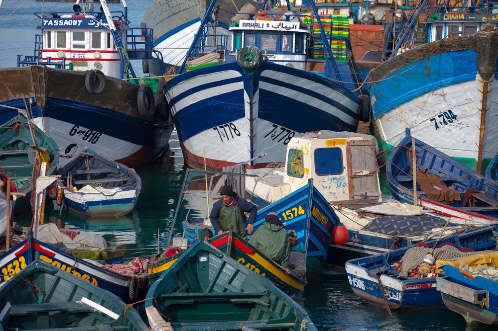 Photograph by ANDREY PERESHEIN