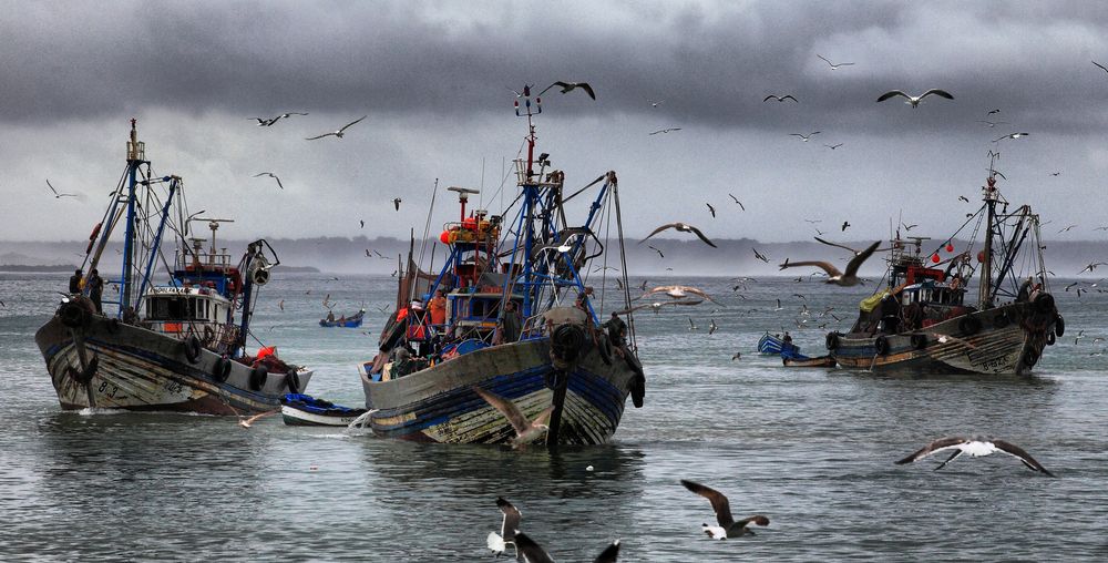 Photograph by ANDREY PERESHEIN