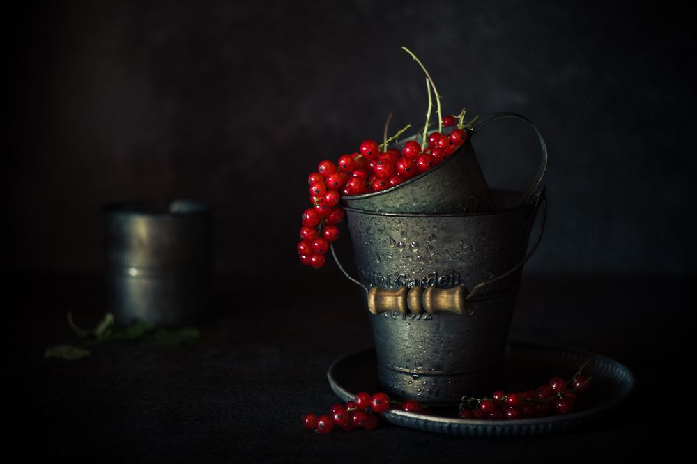 Photograph by Александр Азаренков