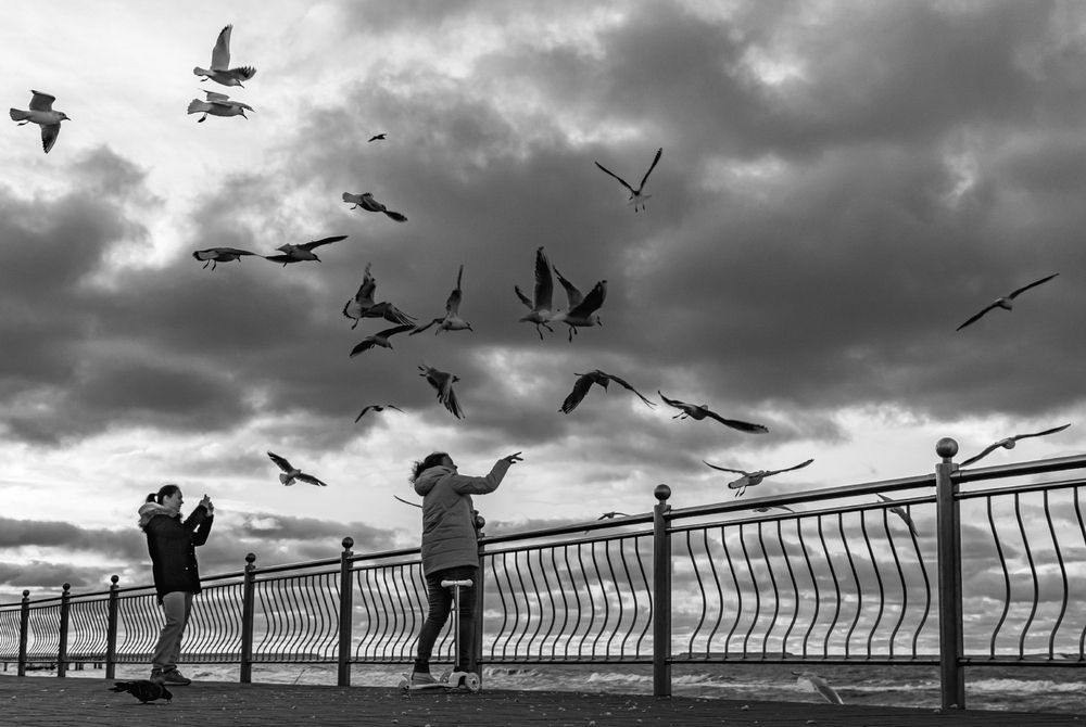 Photograph by Валерий Зарайсько