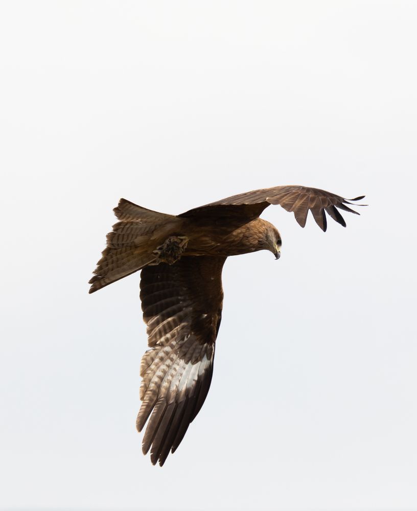 Photograph by Svetlana Porokhovnikova