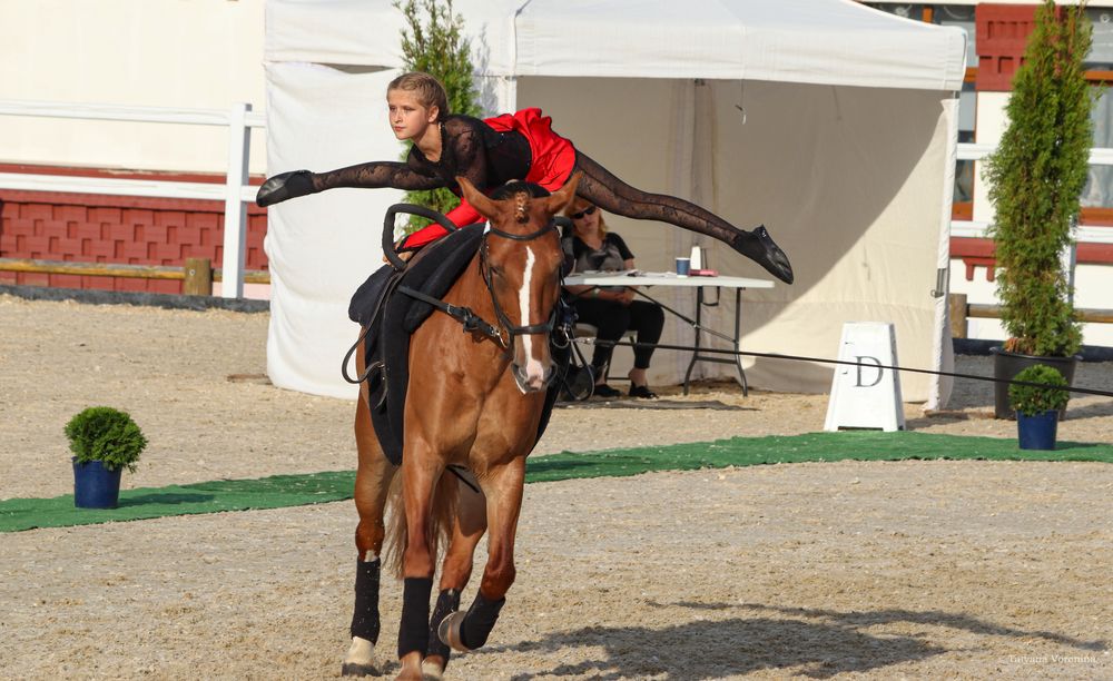 Фотография автора Воронина Татьяна