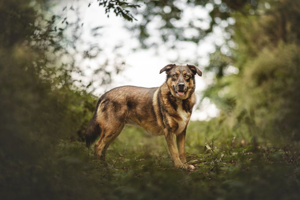 Фотография автора lucia saiz